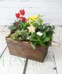 Festive planter