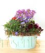Garden Planter
