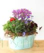 Large Outdoor Planter    
