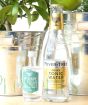 Fever Tree Tonic and Hedgerow Gin