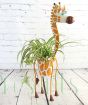 Spider plant in a giraffe planter