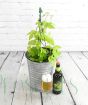 GYO Hops gift set