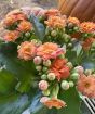 Pumpkin Planter
