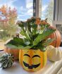 Halloween Pumpkin