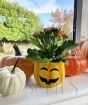 Pumpkin Planter