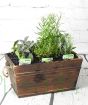 Dark Wood herb planter