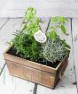 Wooden Herb Planter      