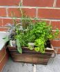 Wooden Herb Planter      
