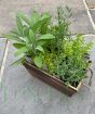 Herb Planter