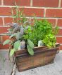 Wooden Herb Planter      