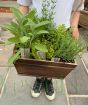 Wooden Herb Planter      