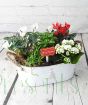 Large Christmas Planter