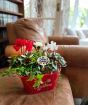 Red Merry Christmas Planter