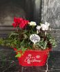Red Merry Christmas Planter