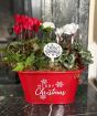 Red Merry Christmas Planter