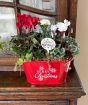 Red Merry Christmas Planter
