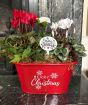 Red Merry Christmas Planter