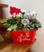 Red Merry Christmas planter