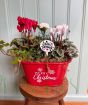 Red Merry Christmas Planter