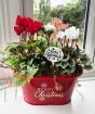 Red Merry Christmas Planter