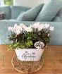 White Christmas Planter