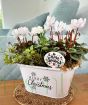 White Christmas Planter