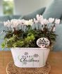 White Christmas Planter
