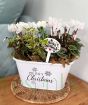White Christmas Planter