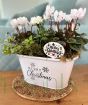 White Christmas Planter