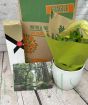 Money Plant Gift Set  