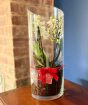 Orchid Terrarium