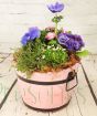 Pink Barrel Planter