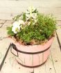 Pink Barrel Planter