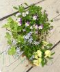 Large Cream Planter