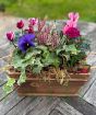 Autumn Planter