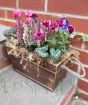 Autumn Planter