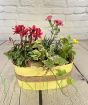 Autumn oval with cyclamen, dianthus, primula and ivy