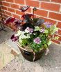 Barrel Planter           