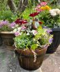 Barrel Planter           