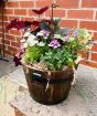 Barrel Planter April 2025