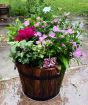 Barrel Planter           