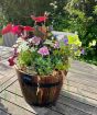 Barrel planter spring 2025
