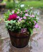 Barrel Planter           