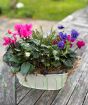 Large Cream Planter