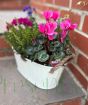 Large Cream Planter