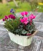 Large Cream Planter