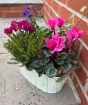 Large Cream Planter