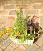 Edible Flower Planter       