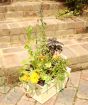 Edible Flower Planter       