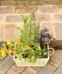 Edible Flower Planter       